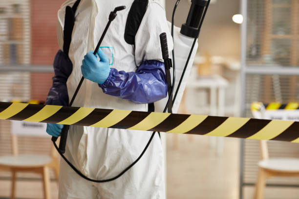 Professional Hoarding Cleanup technician working in Montague, CA